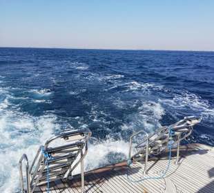 Leitern mit fuß-freundlichen Stufen