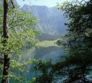 Der Obersee