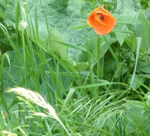 Rundwanderung Petersberg