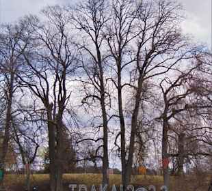 Wasserburg Trakai