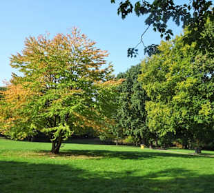 Rundgang durch den Park Forstbaumschule
