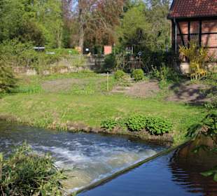 Dorfrundgang Wienhausen 