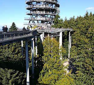Waldwipfelweg St Englmar/Maibrunn