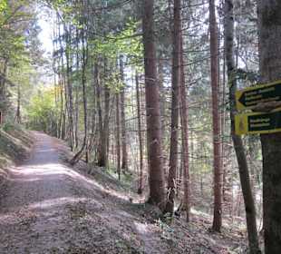 Beginn des Wanderweges