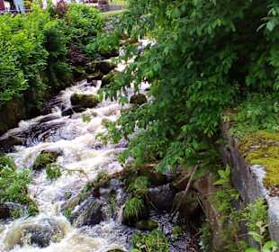 Triberger Wasserfälle in Triberg