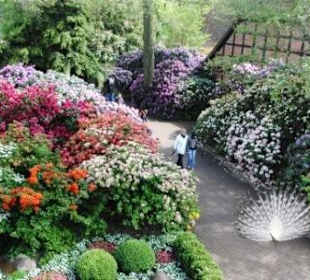 Weltvogelpark Walrode, direkt am Hotel 