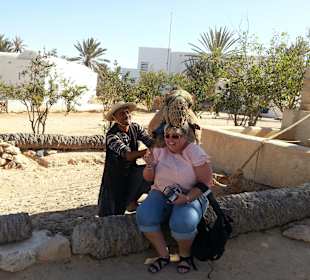 Djerba Explore Parc Heritage