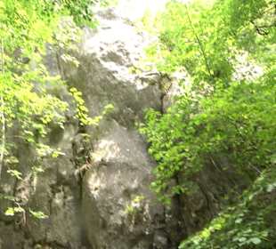 Wanderrunde Emeringen zum Rechtenstein