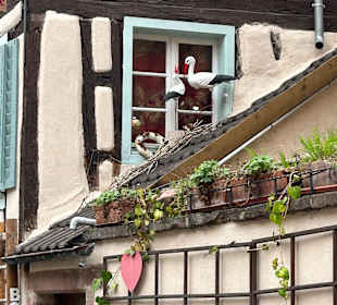 Altstadt Obernai