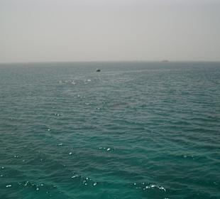 Sie kommen auf uns zu