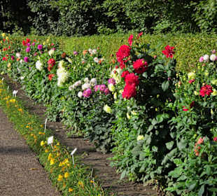 Impressionen aus dem Dahliengarten Hamburg