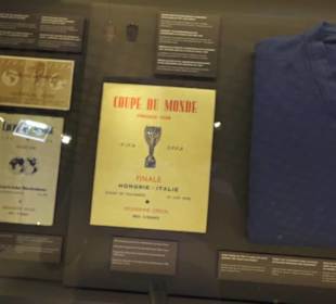 FIFA World Football Museum