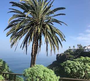 Wandern Puerto de la Cruz