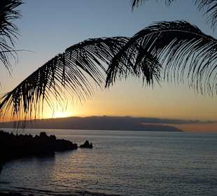 Ausflug auf den Teide