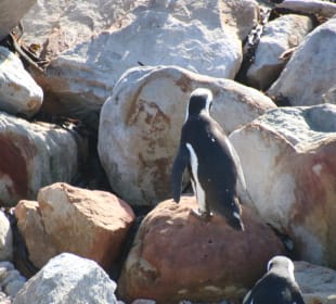 ...kurze Toilettenpause...