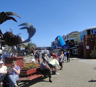 Eingang Pier 39
