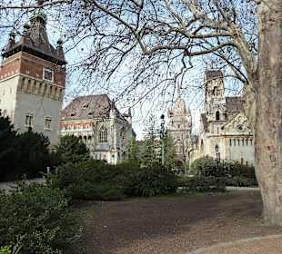 Burganlage Vajda-Hunyad