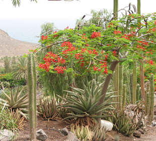 Traumhaft schöner Ausblick