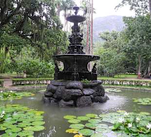 Botanischer Garten Brunnen