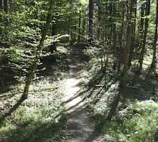 Wanderweg Hochgehwachsen