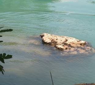 Ausflug Wasserfälle in Manavgat