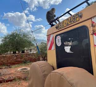 Geführte Touren Marco Polo Tours & Safaris Diani Beach