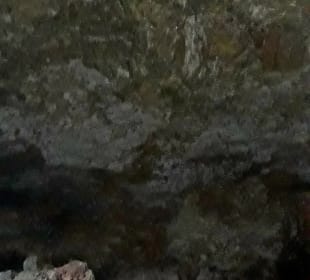 Coral Caves Mangapwani