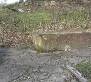 Doppelbrunnen Immenstraße Gniebel