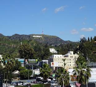 Der Schriftzug von Fern