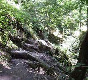 Schöner Klammweg