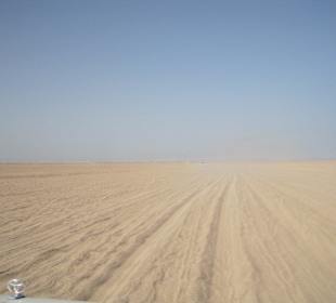 Safari / Wüste