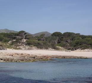 Cala Agulla Strand
