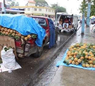 Eindrücke von der Busfahrt