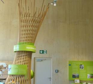 Handthal: im Steigerwald-Zentrum