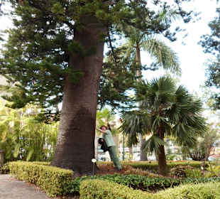 Im Jardín de aclimatación de La Orotava