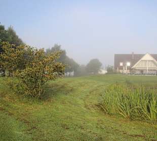 Die Anlage im Frühnebel