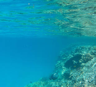 Rotes Meer/Red Sea - Hurghada