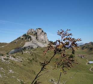 Tolle Fotomotive auf dem Rundgang