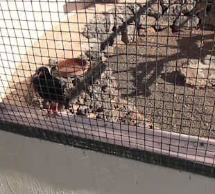 Guinitate Tropical Park