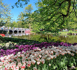 Keukenhof