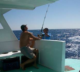 Wer fängt den Größten?