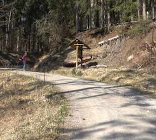 Geologischer Lehrpfad Kirnbachtal