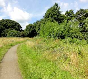 Unterwegs auf dem Huntepadd