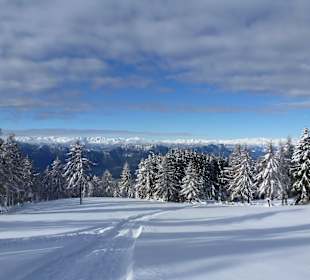 Wandern Nova Ponente / Deutschnofen