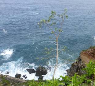 Steilküste auf dem Weg zum Mirador de San Pedro