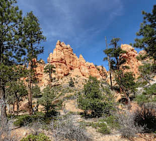 Navaja Loop Trail