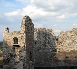 Zamek Wilcza Szczęka - OGRODZIENIEC