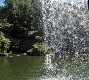 Eindrücke aus dem Monte Palace Tropical Garden
