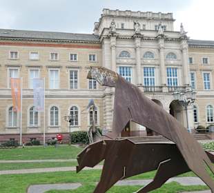 Beim Staatlichen Museum für Naturkunde Karlsruhe