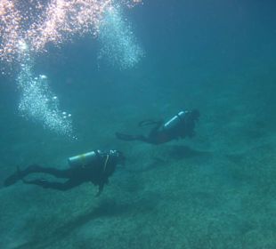 Taucher in der Bucht